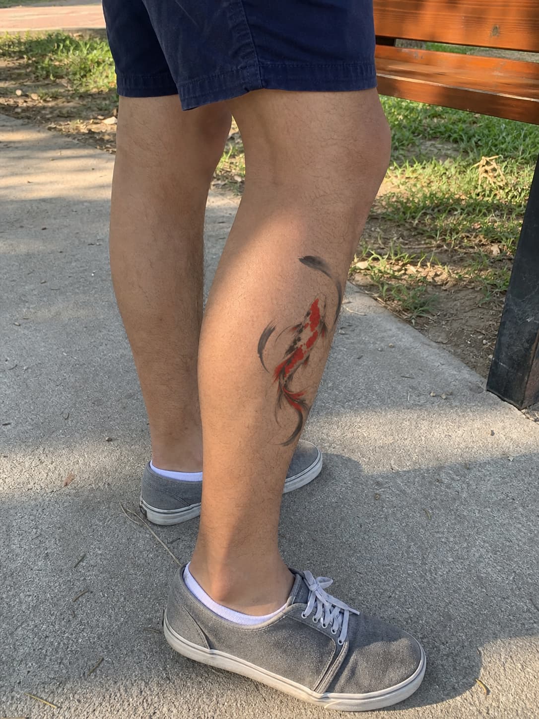 Japanese koi pair previewed down a calf in outdoor shade