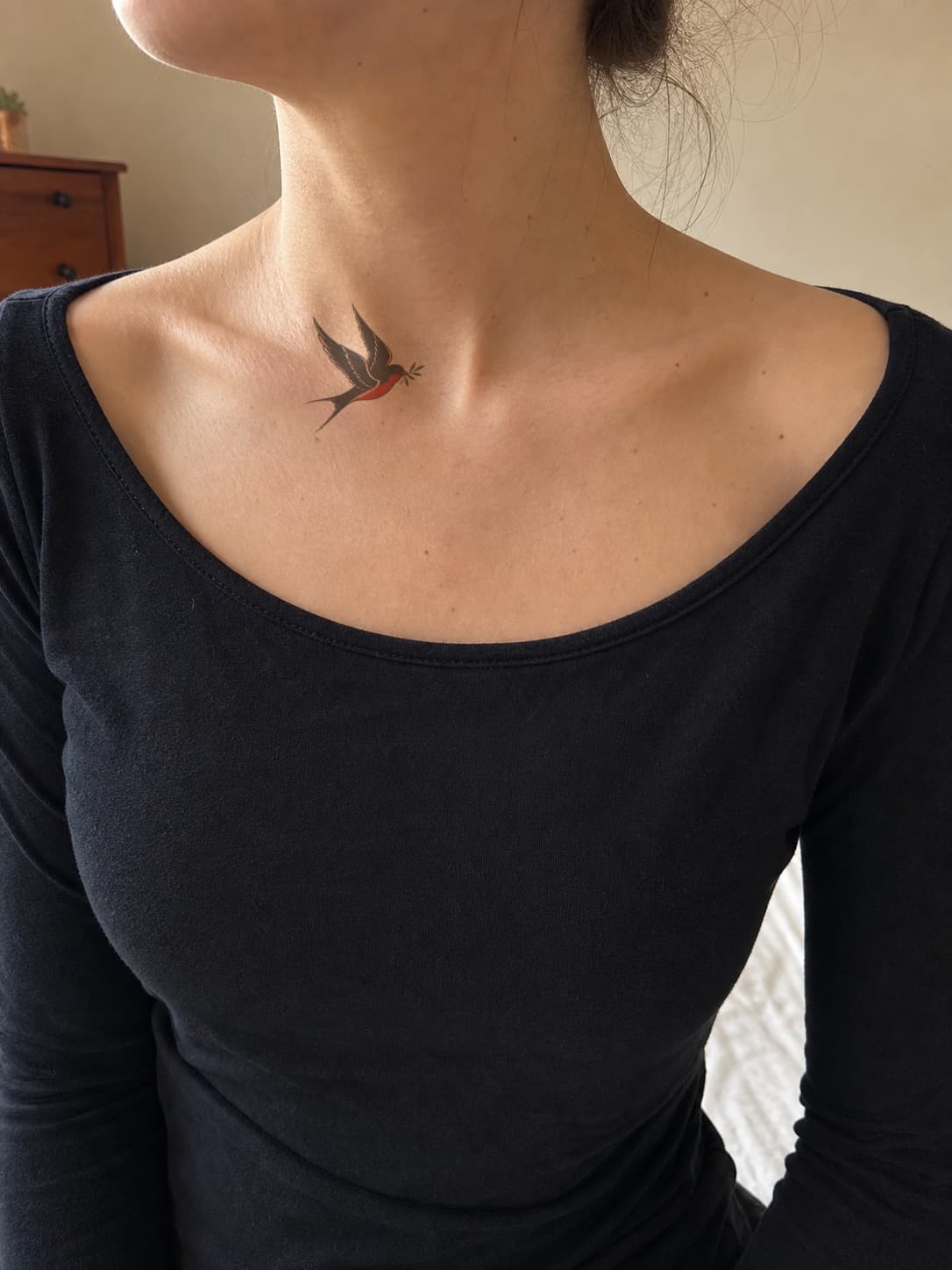 Traditional swallow previewed along a collarbone in window light