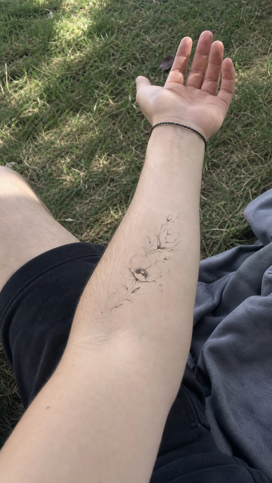 Fine-line magnolia previewed along a forearm in dappled park daylight