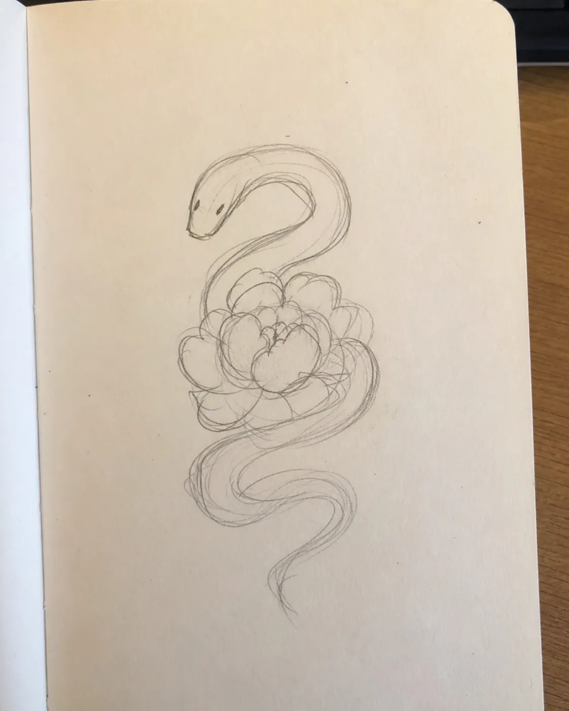 A casual pencil sketch of a snake curling around a peony on a notebook page