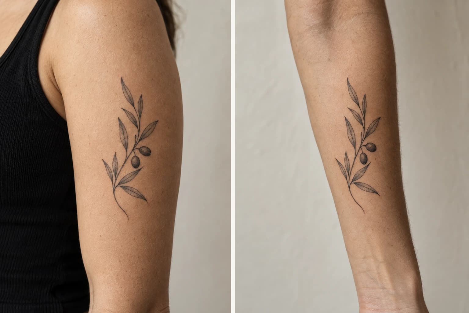 Simulated olive-branch tattoo close-ups, on an upper arm at left and a forearm at right